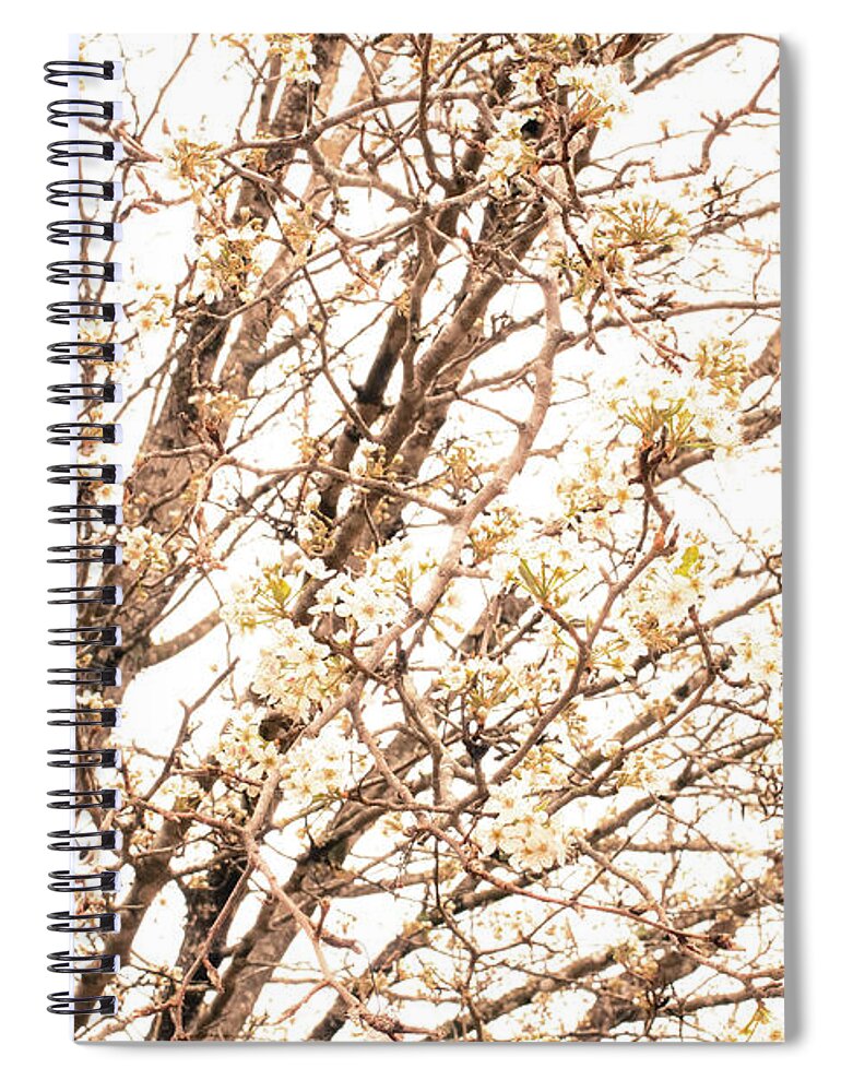 Floral Spiral Notebook featuring the photograph Bradford Pear Bloom by Michelle Anderson