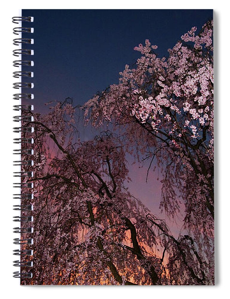 Outdoors Spiral Notebook featuring the photograph Branch Brook Park, Newark, Nj by Zilberman-sands