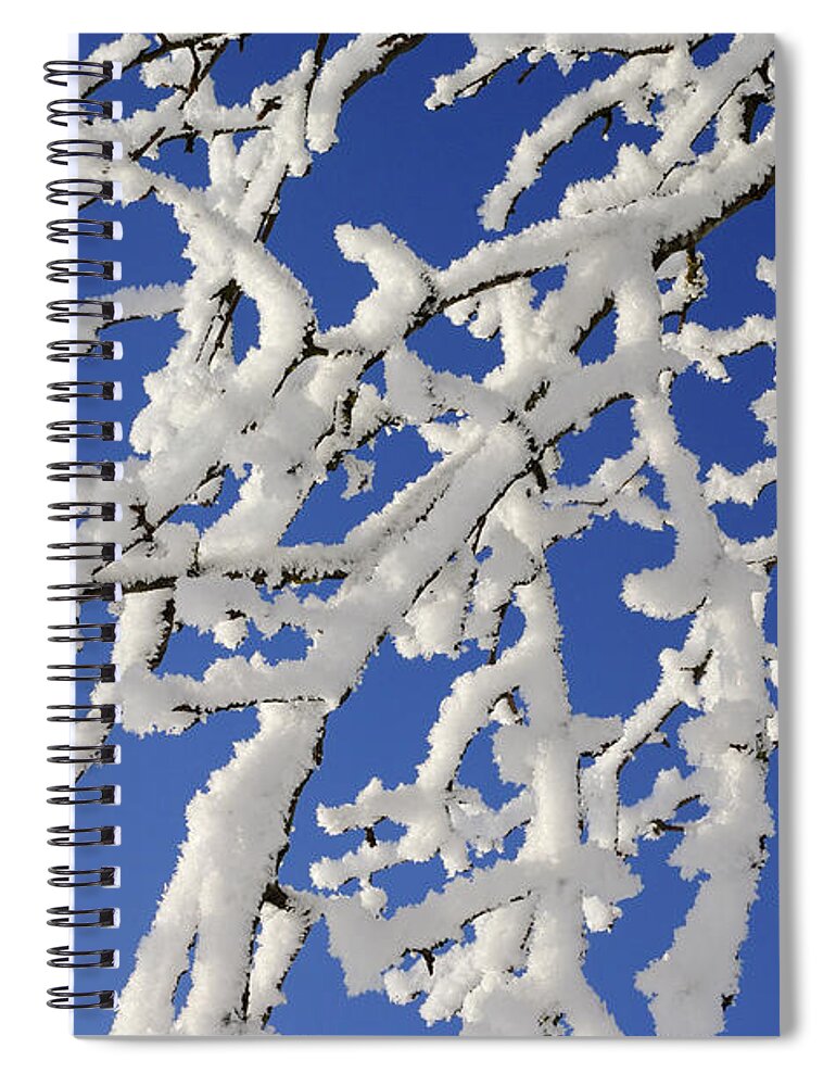 Clear Sky Spiral Notebook featuring the photograph Branches Of Tree Covered With Hoar-frost by Martin Ruegner