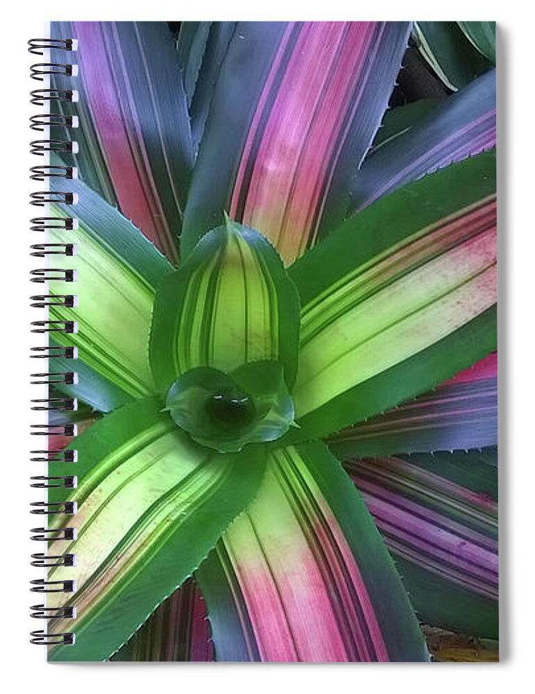 Duane Mccullough Spiral Notebook featuring the photograph Bromeliads 11 by Duane McCullough