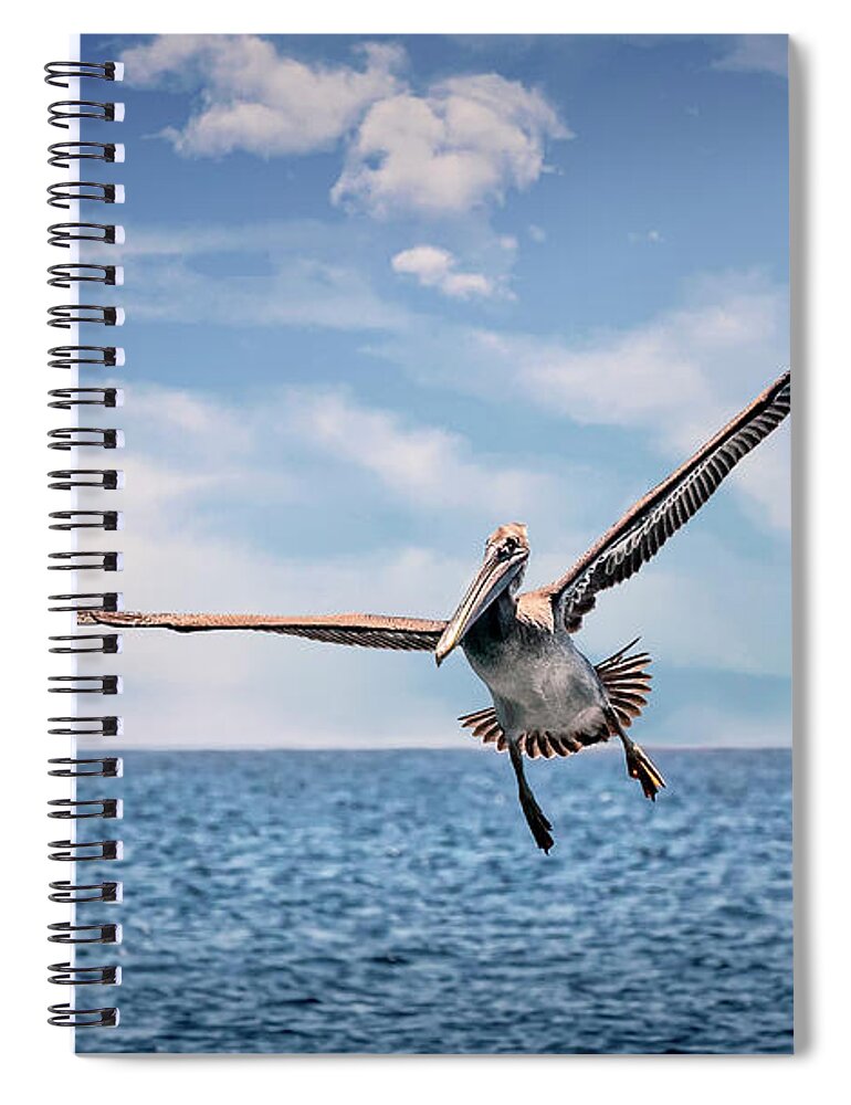 Brown Pelican Spiral Notebook featuring the photograph Brown Pelican Number Three by Endre Balogh