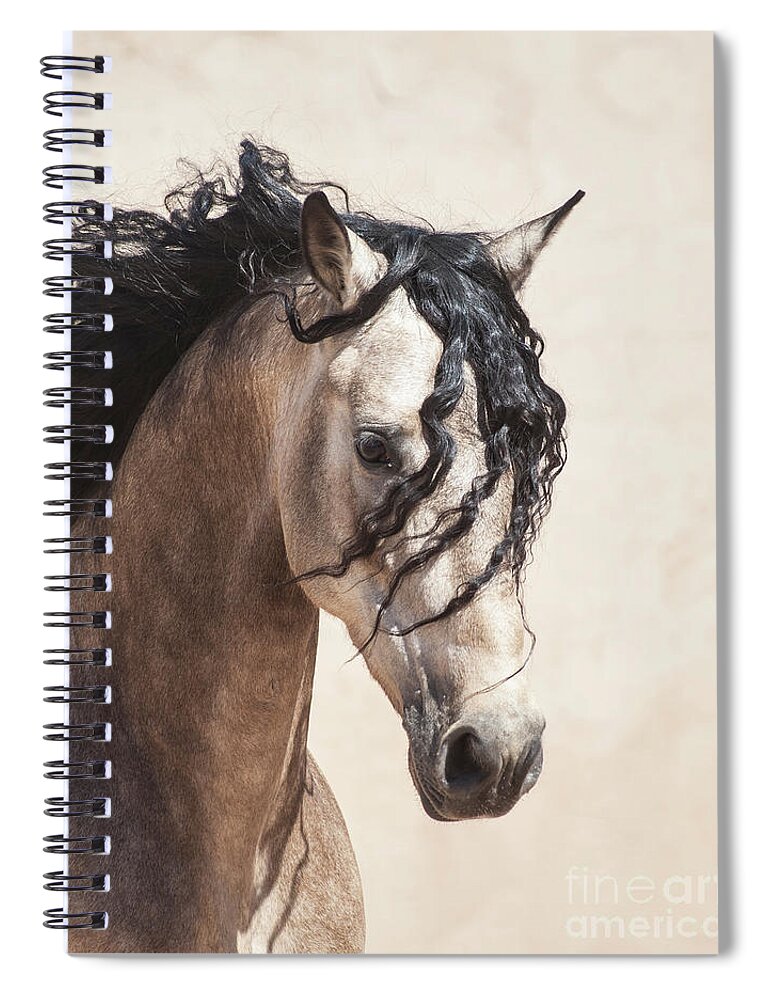 Horse Spiral Notebook featuring the photograph Buckskin Horse Face by Jody Miller