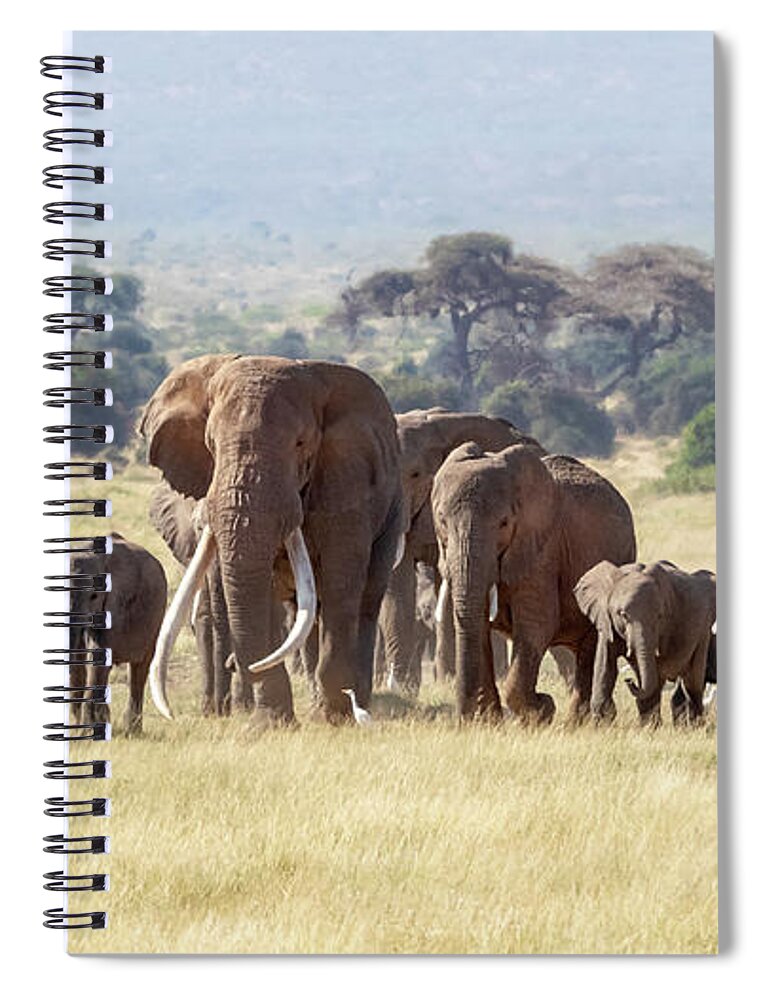 Elephant Spiral Notebook featuring the photograph Bull elephant with a herd of females and babies in Amboseli, Kenya by Jane Rix