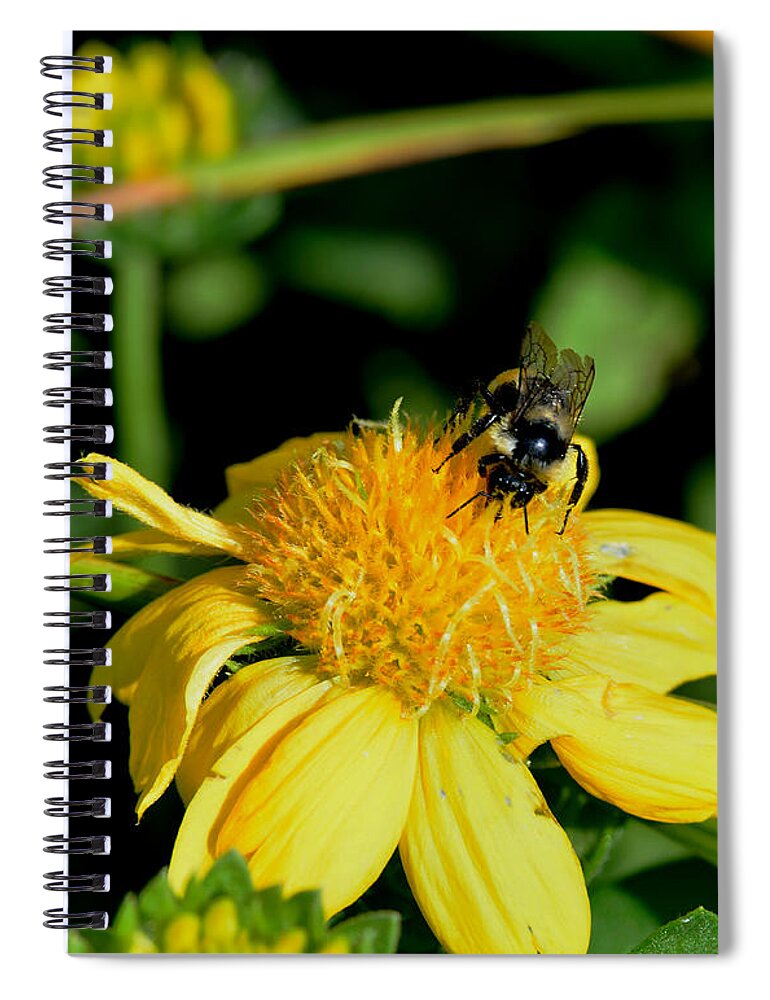 Bee Spiral Notebook featuring the photograph Bumblebee at Work by Kae Cheatham