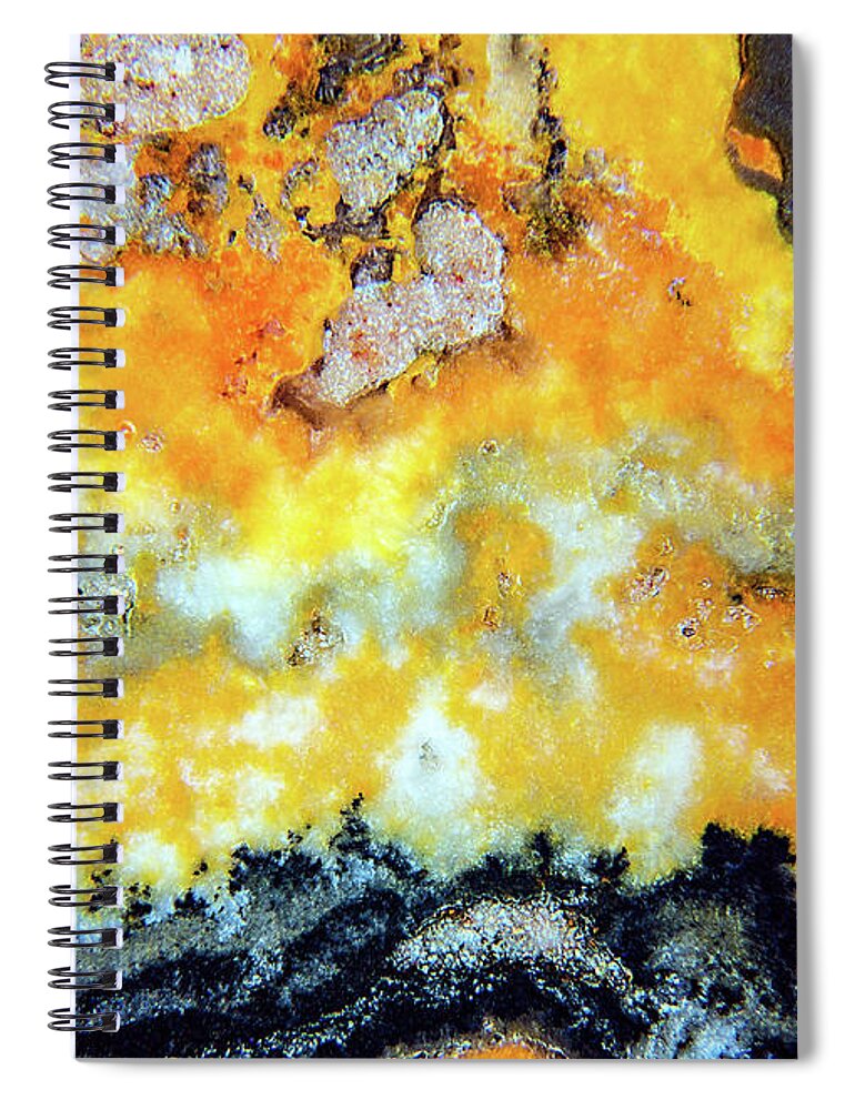 Fine Art Photography Spiral Notebook featuring the photograph Bumblebee Jasper by John Strong