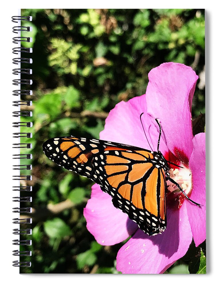 Flower Spiral Notebook featuring the photograph Burn by Jeff Iverson