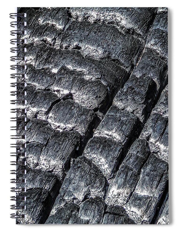Apache Sitgreaves National Forest Spiral Notebook featuring the photograph Burnt Wood 2 by Dawn Richards
