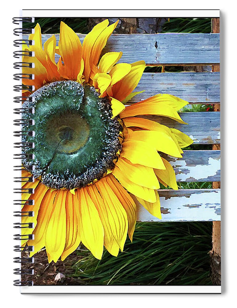 Daisy Spiral Notebook featuring the photograph Bursting by Peggy Dietz