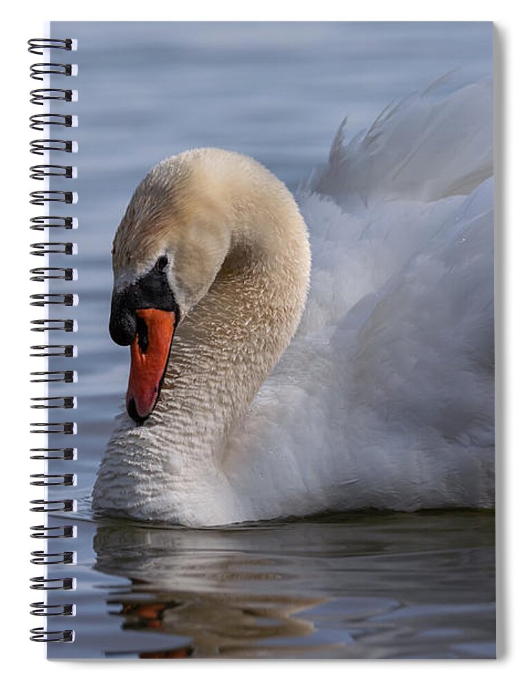 Photography Spiral Notebook featuring the photograph Busking around by Alma Danison