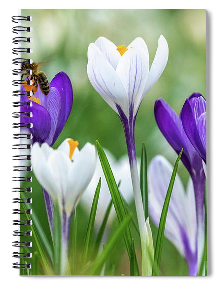 Spring Spiral Notebook featuring the photograph Busy Bee by Framing Places