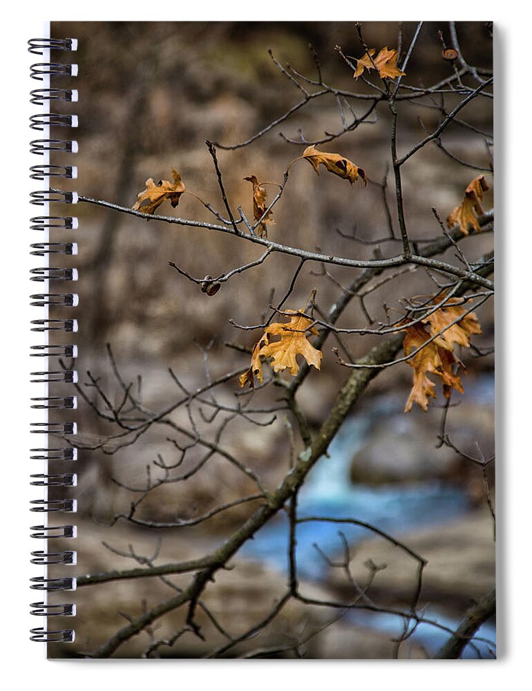 Butcher Falls Spiral Notebook featuring the photograph Butcher Falls' Leaves by Jolynn Reed
