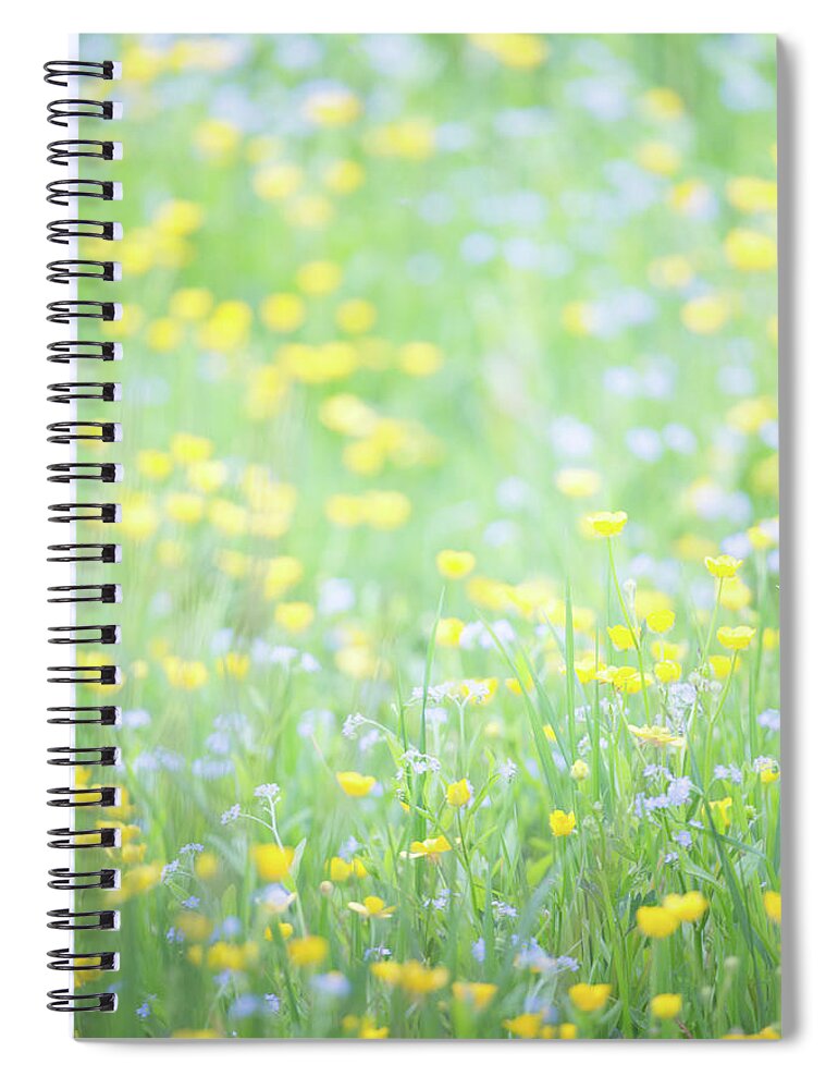  Spiral Notebook featuring the photograph Buttercups and Forget-me-nots by Anita Nicholson