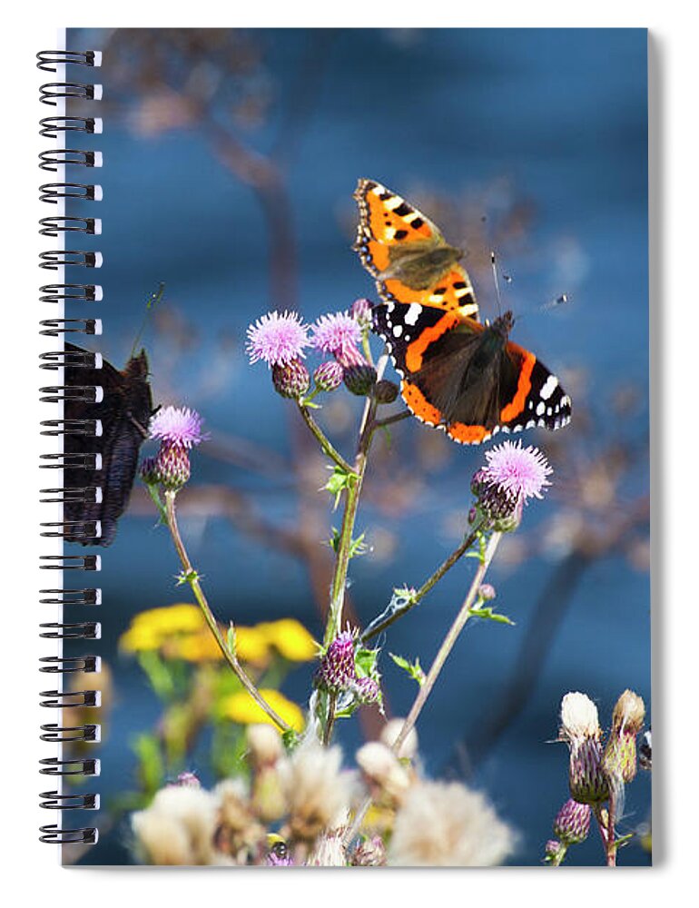 Insect Spiral Notebook featuring the photograph Butterflies Sitting On Flower by Www.wm Artphoto.se