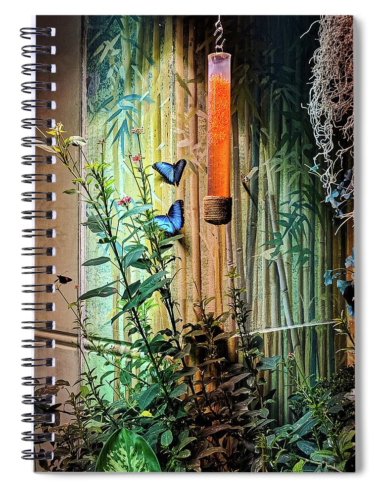 Plant Spiral Notebook featuring the photograph Butterfly Garden by Portia Olaughlin