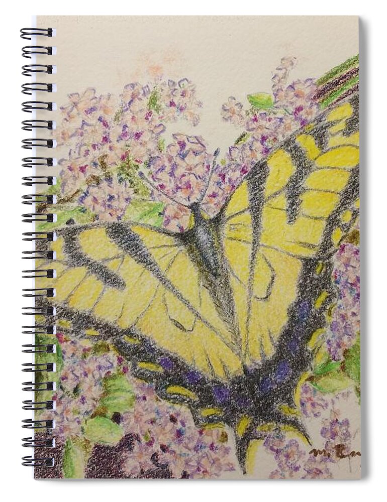 Framed Prints Spiral Notebook featuring the drawing Butterfly on buddliea blossoms by Milly Tseng