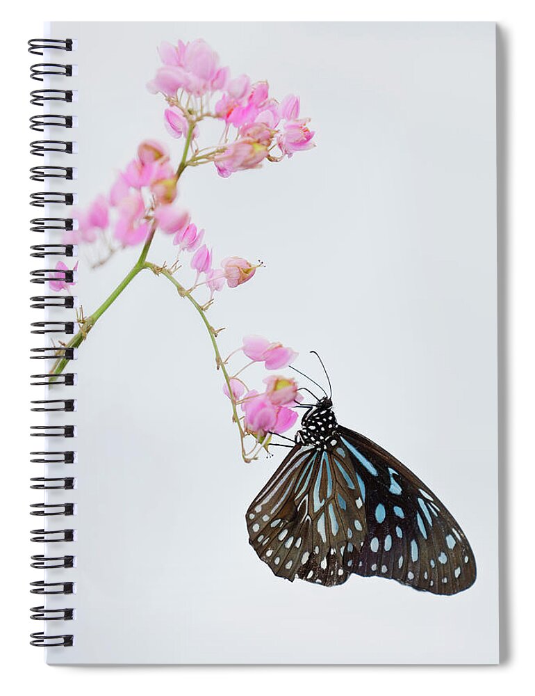 Insect Spiral Notebook featuring the photograph Butterfly Park In Kuala Lumpur by David Clapp
