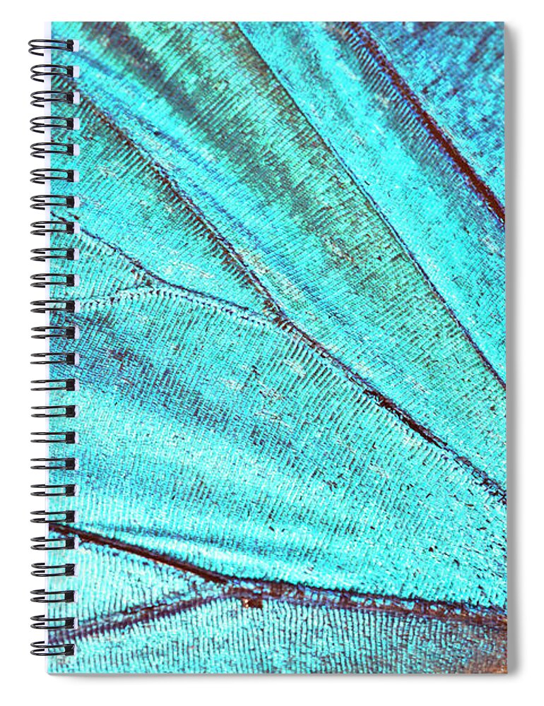 Insect Spiral Notebook featuring the photograph Butterfly Wing Background by Jodijacobson