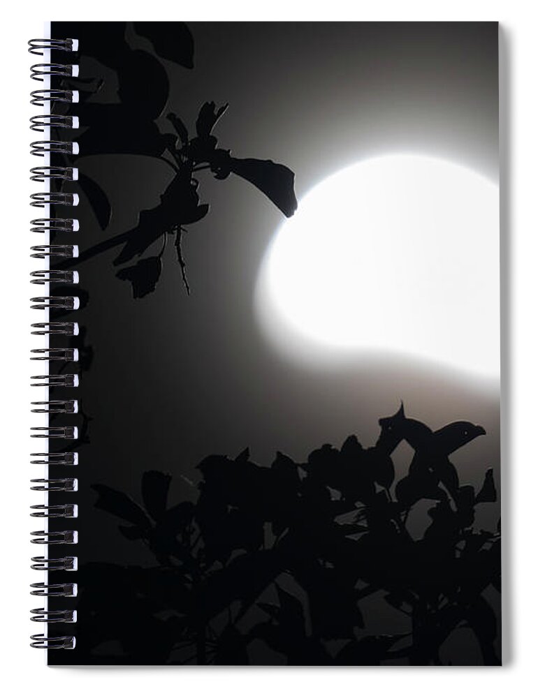 Arbutus Spiral Notebook featuring the photograph By The Light Of A Partial Moon by Randy Hall