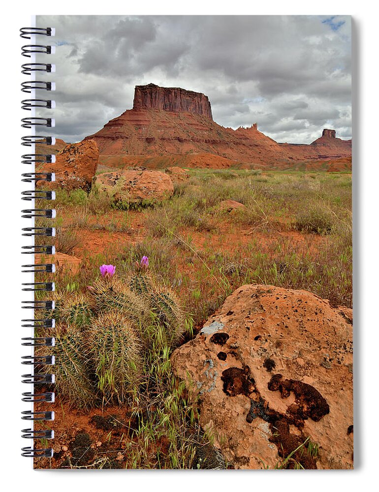 Ruby Mountain Spiral Notebook featuring the photograph Cactus Blooms along Scenic Byway 128 in Utah by Ray Mathis