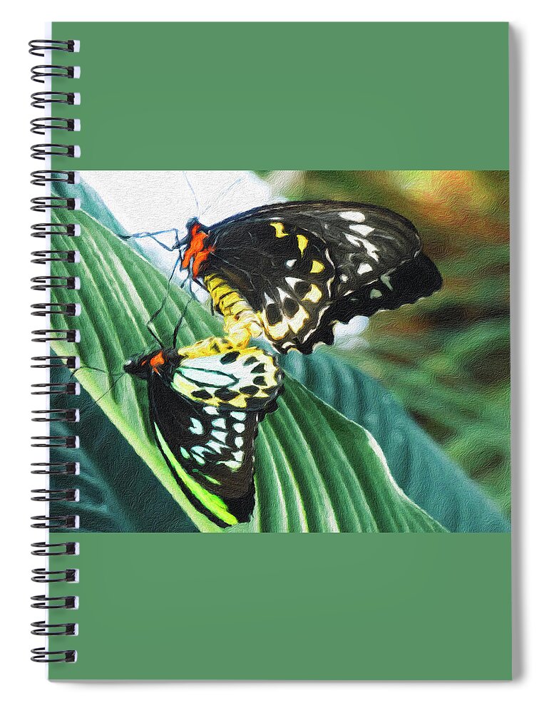 Cairns Birdwing Spiral Notebook featuring the photograph Cairns Birdwing Butterflies - Intimacy by Leslie Montgomery