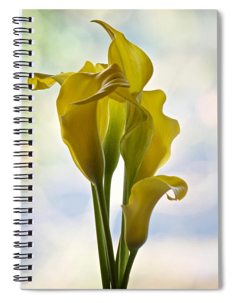 Calla Lily Spiral Notebook featuring the photograph Calla by Richard Cummings