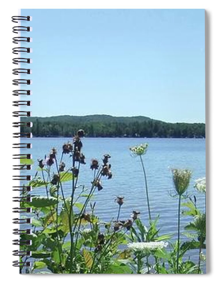 Canada Lake Spiral Notebook featuring the photograph Canada Lake Queen Anne's Lace by Kathy Chism