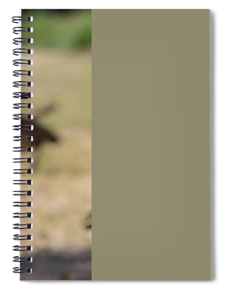 Lake Spiral Notebook featuring the photograph Canadian goose, Mississippi River State Park by Julieta Belmont