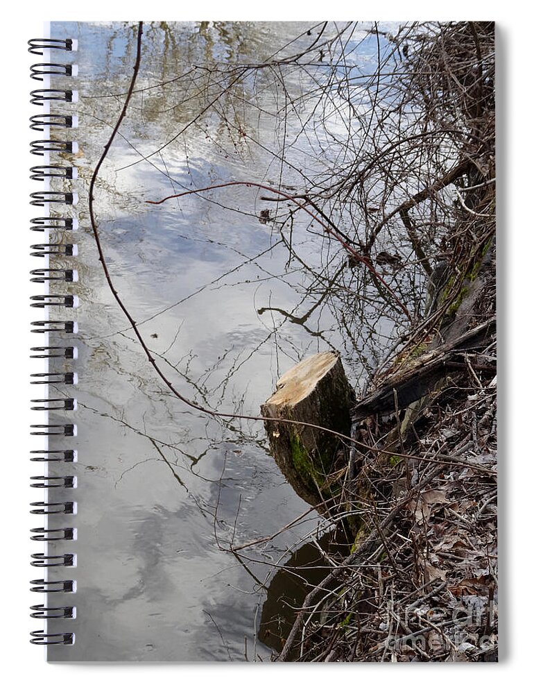 Canal Spiral Notebook featuring the photograph Canal Stumps-005 by Christopher Plummer