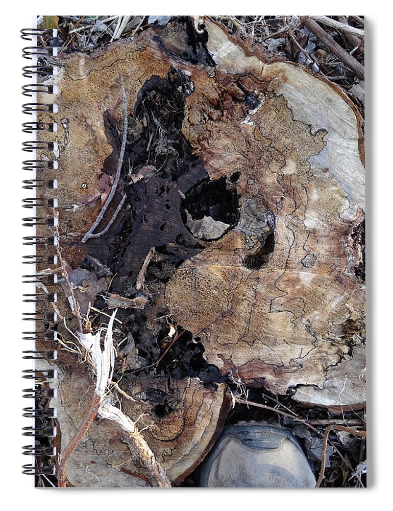 Canal Spiral Notebook featuring the photograph Canal Stumps-015 by Christopher Plummer
