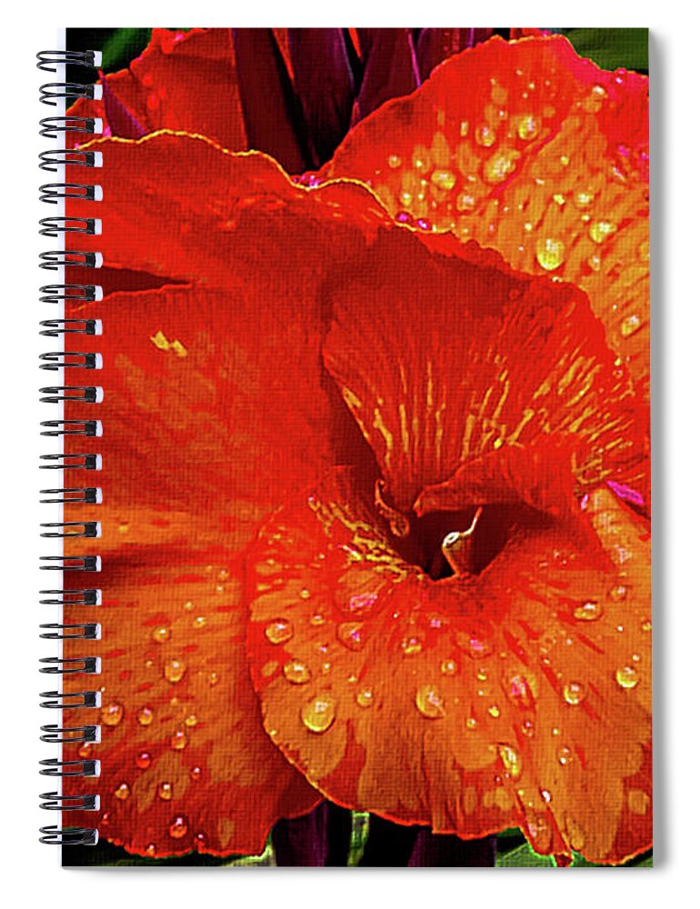 Mona Stut Spiral Notebook featuring the photograph Canna Lily Closeup by Mona Stut
