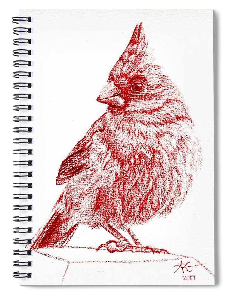 Red Spiral Notebook featuring the drawing Cardinal II by Alexis King-Glandon