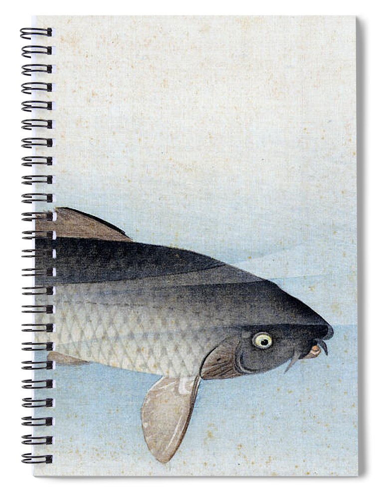 Shusei Spiral Notebook featuring the painting Carp by Shusei