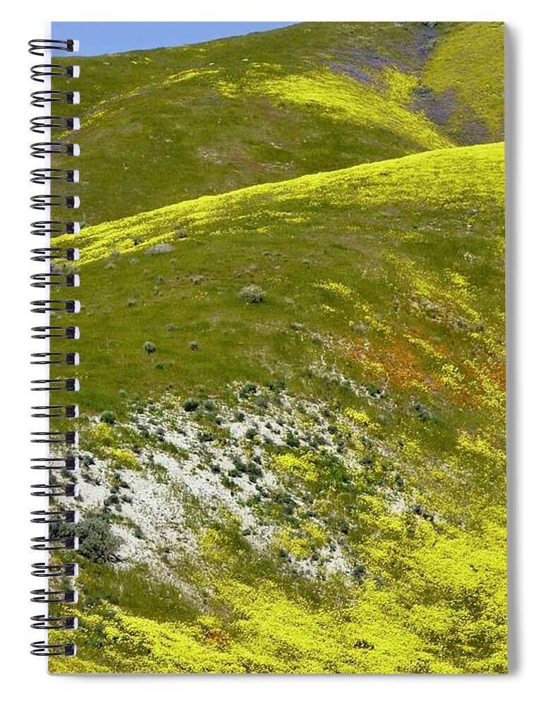 Carrizo Plain Spiral Notebook featuring the photograph Carrizo Plain Super Bloom by Amelia Racca