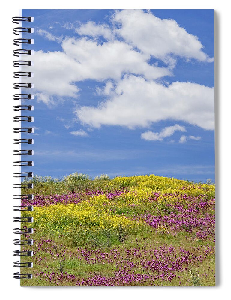 Jeff Foott Spiral Notebook featuring the photograph Carrizo Plain Super Bloom by Jeff Foott