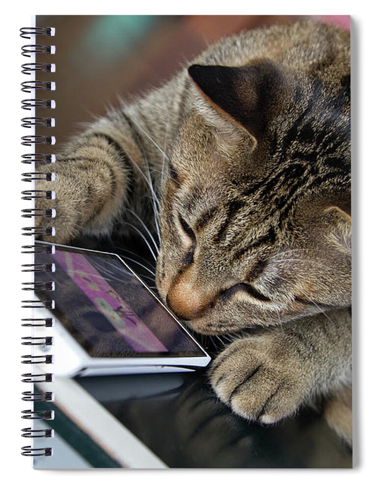 Pets Spiral Notebook featuring the photograph Cat Touch The Smartphone by Naoto Shibata