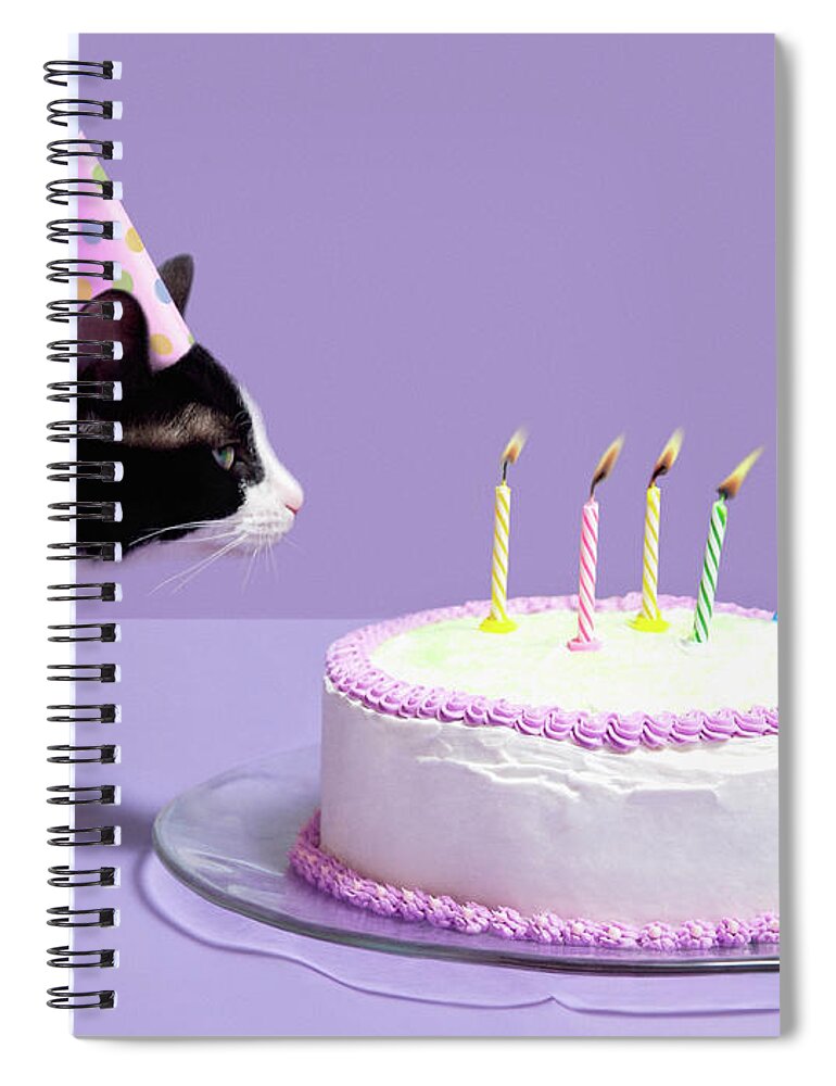 Pets Spiral Notebook featuring the photograph Cat Wearing Birthday Hat Blowing Out by Steven Puetzer