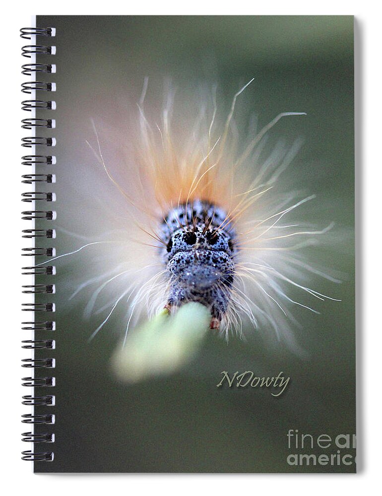  Spiral Notebook featuring the photograph Caterpillar Face by Natalie Dowty