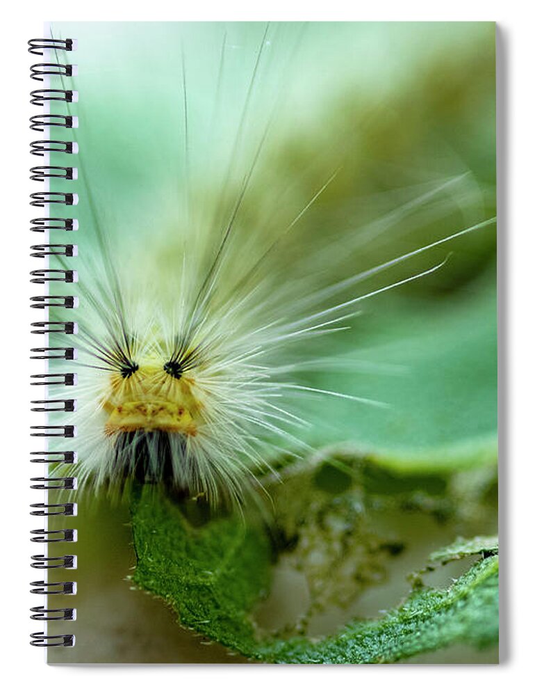 Macro Spiral Notebook featuring the photograph Caterpillar Macro by Cathy Kovarik