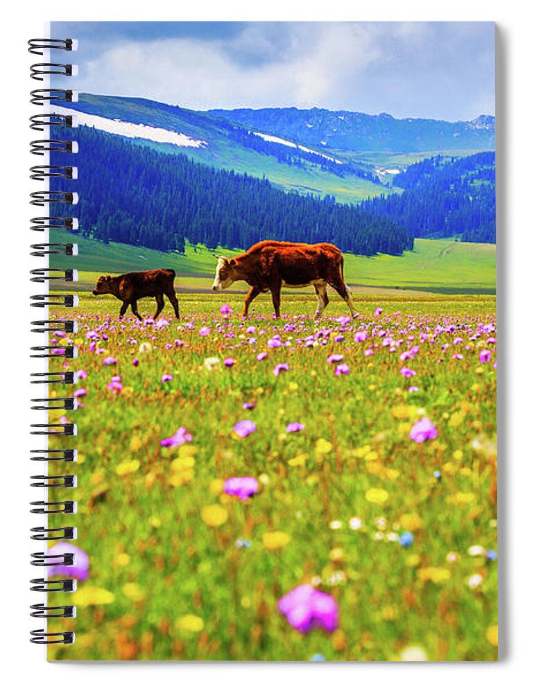 Tranquility Spiral Notebook featuring the photograph Cattle Walking In Grassland by Feng Wei Photography