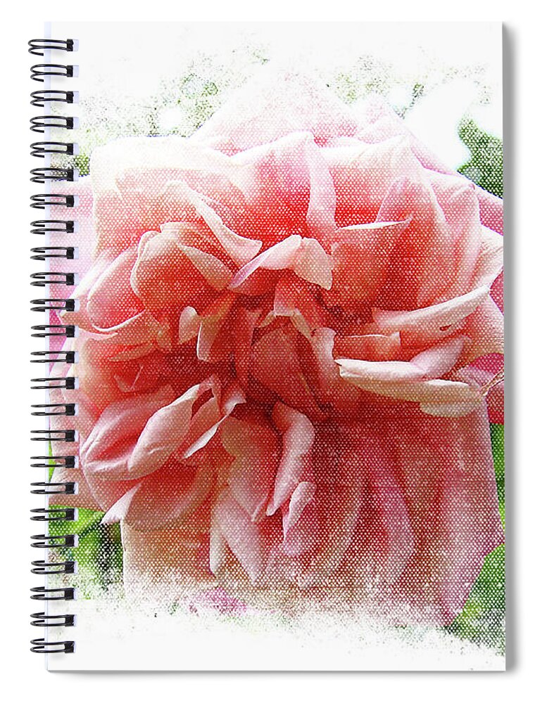 Virginia Spiral Notebook featuring the photograph Cemetery Rose by Lenore Locken