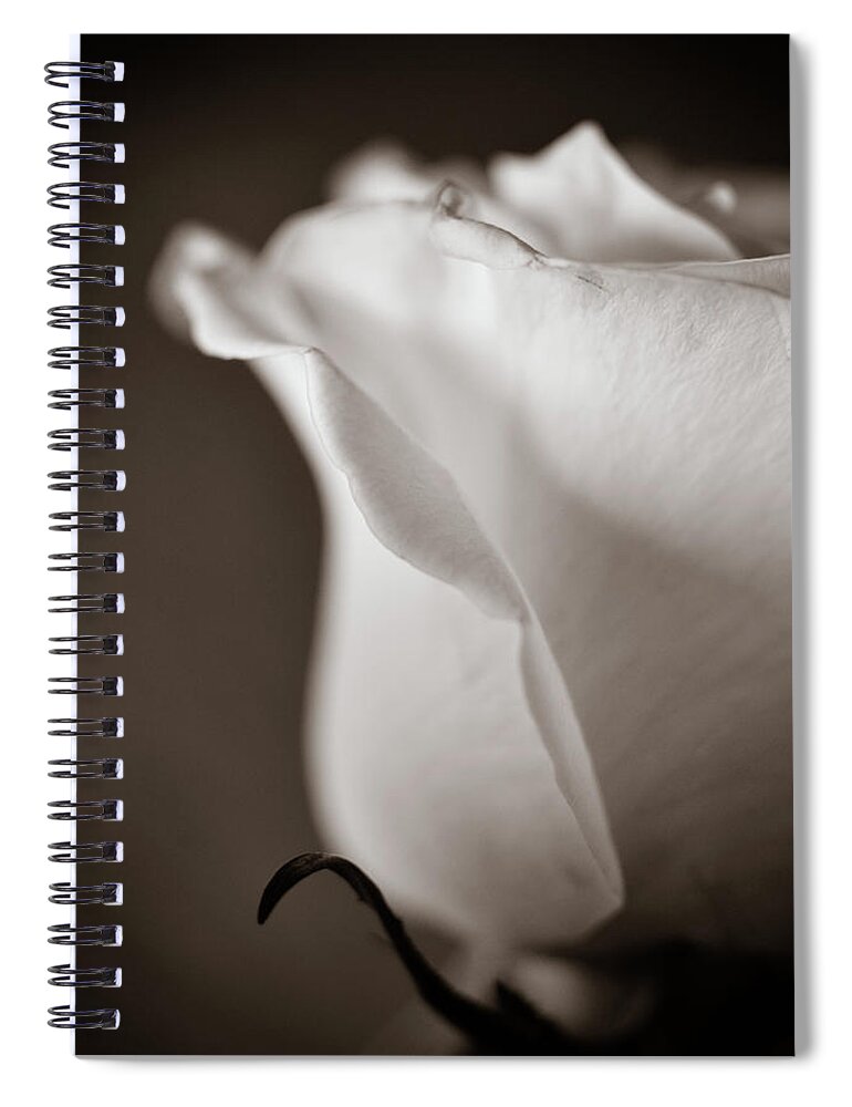 Sepia Spiral Notebook featuring the photograph Chance by Michelle Wermuth