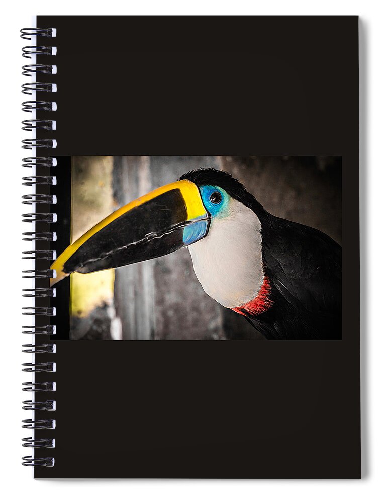 Animals Spiral Notebook featuring the photograph Channel Billed Toucan, Peru by Venetia Featherstone-Witty