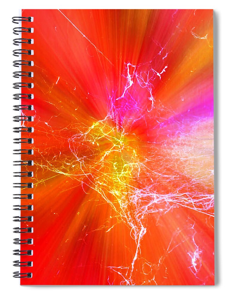 Spider Spiral Notebook featuring the photograph Charlotte's Sunburst by Judy Kennedy