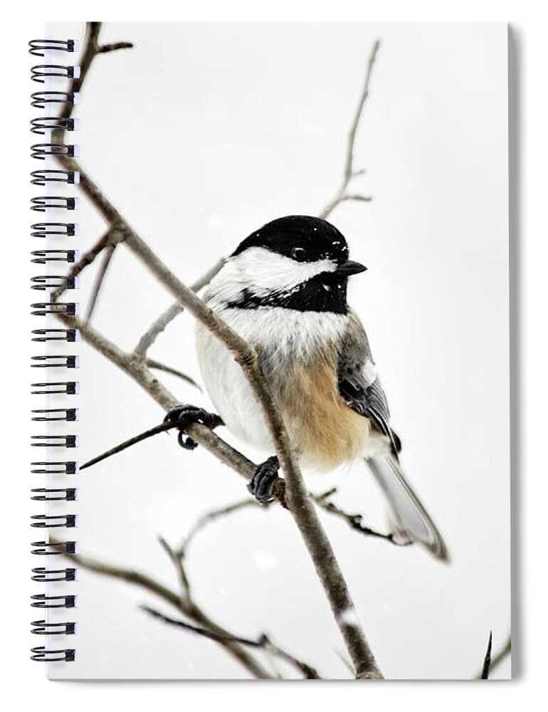 Chickadee Spiral Notebook featuring the photograph Charming Winter Chickadee by Christina Rollo