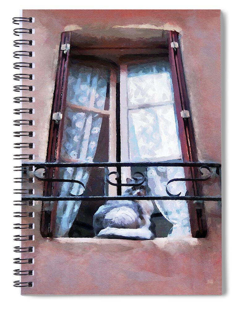 French Cats Spiral Notebook featuring the painting Chat Bleu dans la Fenetre Rose by Menega Sabidussi