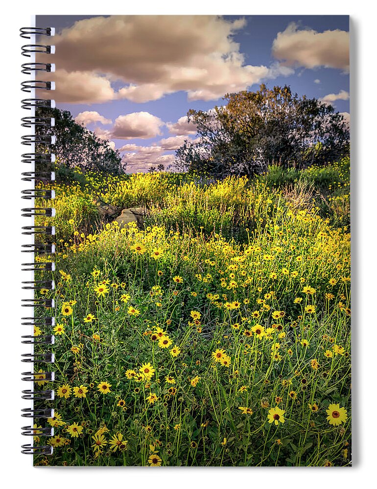 Chatsworth Spiral Notebook featuring the photograph Chatsworth Wildflower Bloom by Endre Balogh
