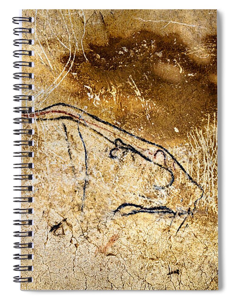 Chauvet Cave Lions Spiral Notebook featuring the digital art Chauvet Cave lions courting by Weston Westmoreland