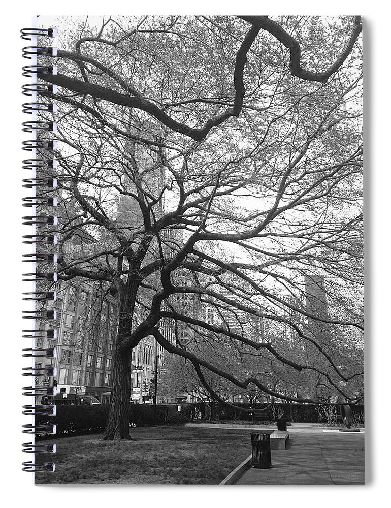 Trees Spiral Notebook featuring the photograph Chicago Treescape by Marty Klar