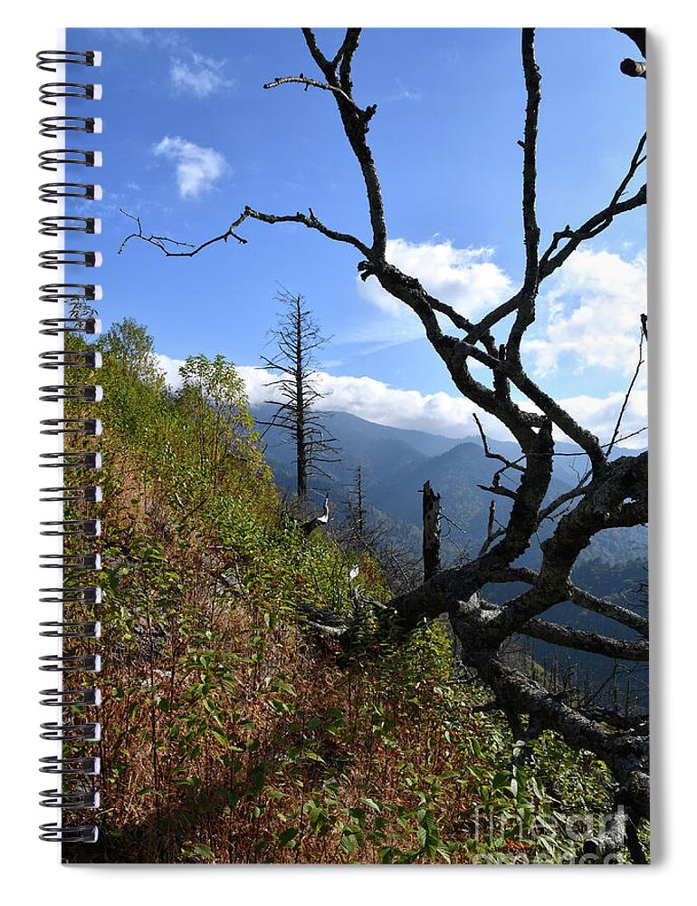 Chimney Tops Spiral Notebook featuring the photograph Chimney Tops 12 by Phil Perkins