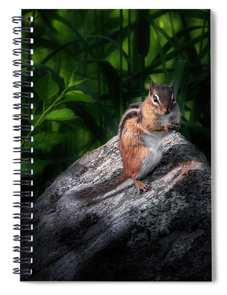 Chipmunk Spiral Notebook featuring the photograph Chipmunk by Bill Wakeley
